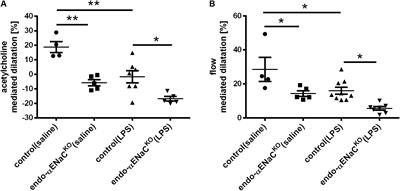 The Deletion of Endothelial Sodium Channel α (αENaC) Impairs Endothelium-Dependent Vasodilation and Endothelial Barrier Integrity in Endotoxemia in Vivo